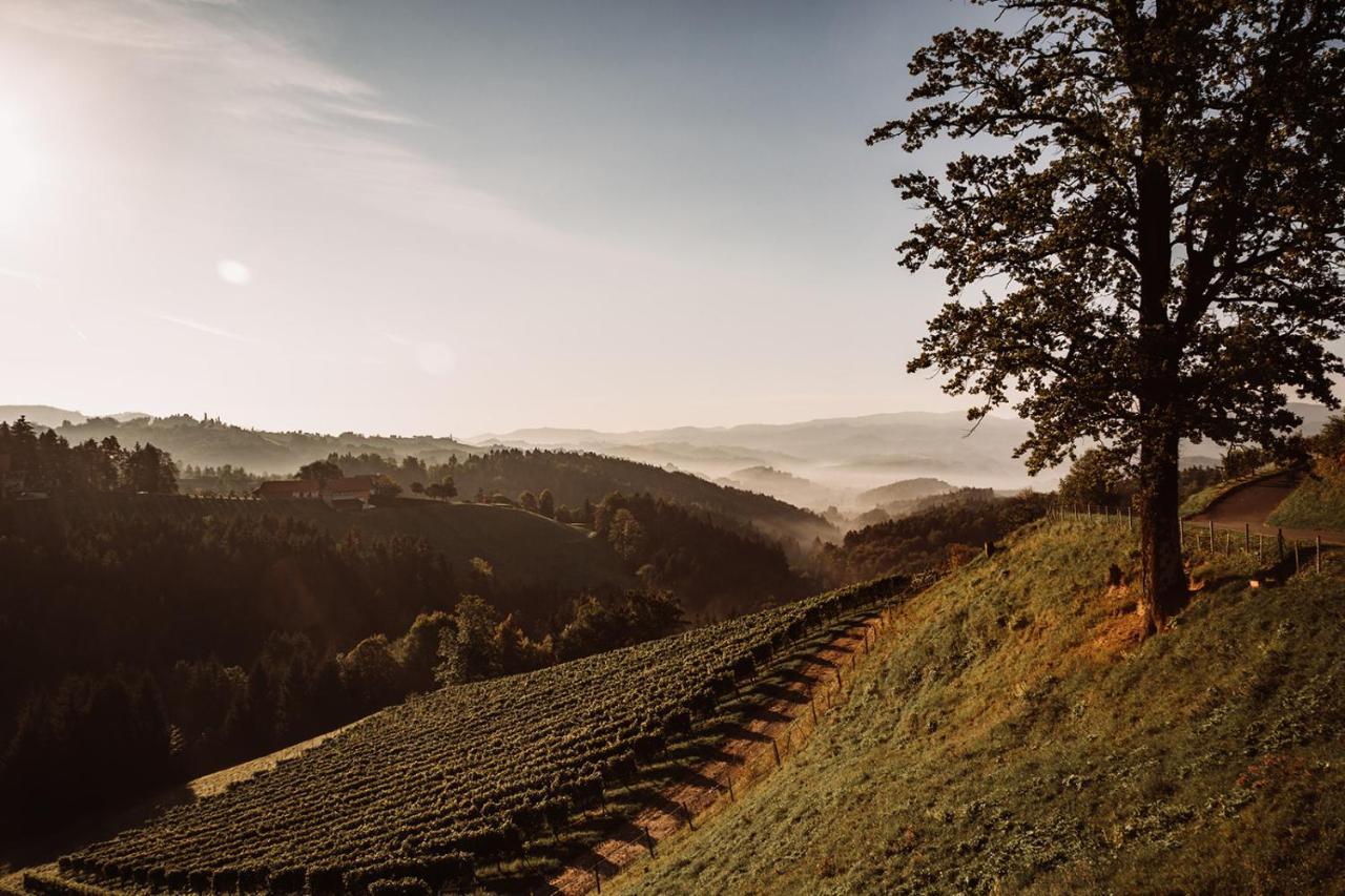 Weingut Kollerhof Am Eichberg Villa Leutschach Eksteriør bilde