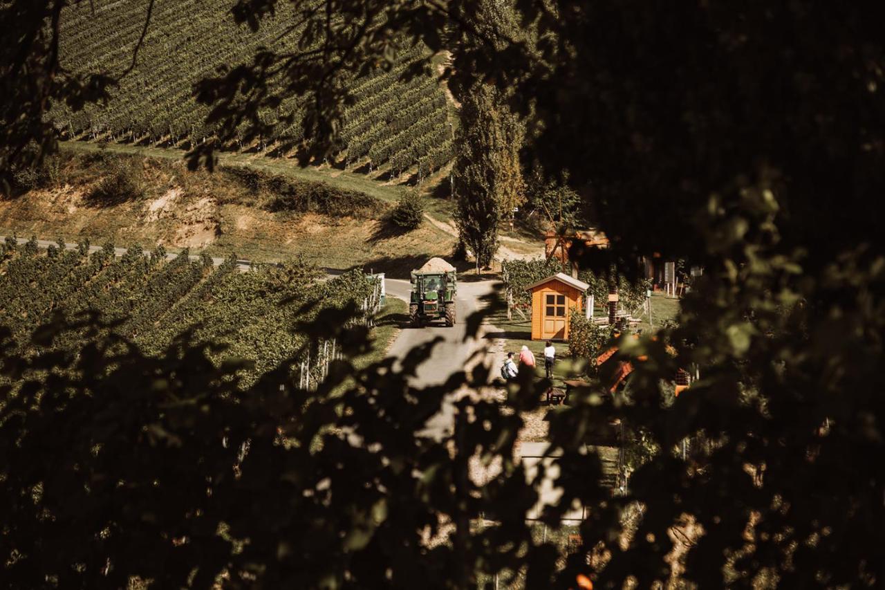 Weingut Kollerhof Am Eichberg Villa Leutschach Eksteriør bilde
